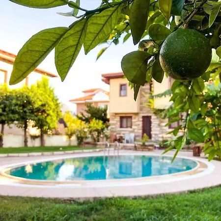 Tas Center ,detached Garden & Pool فيلة *