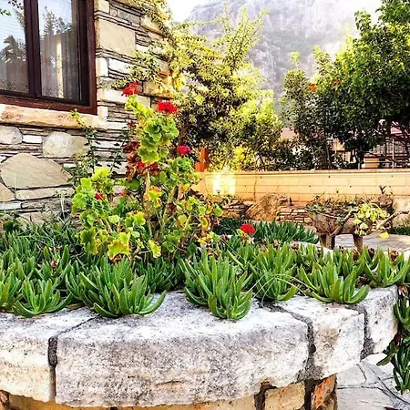 Tas Center ,detached Garden & Pool فيلة داليان